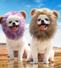 Lion Turns Into Halloween Ghost Pet