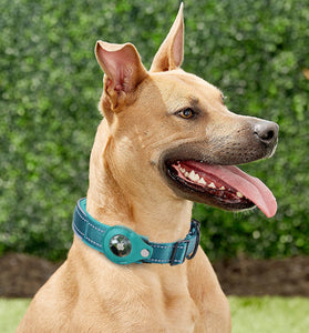 Convenient Tracker Pet Special Collar Cover Pet Loss Prevention Collar