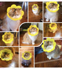 Cat Anti - Lick Shame Circle