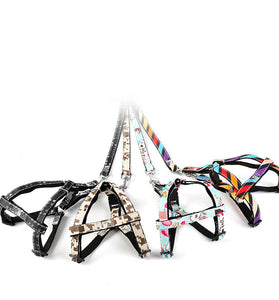 Dog outing traction rope