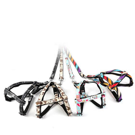 Dog outing traction rope