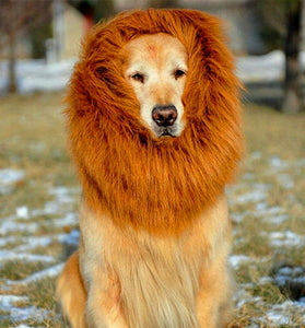 Lion Mane Wig for Large Dogs