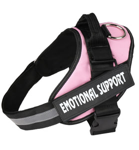 Dog chest strap lead