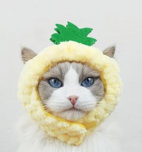 Cute Pineapple Cat Hat Warm Puppet Headdress