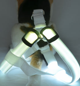Dog Leashing Vest With Led Illuminated Chest Back
