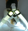 Dog Leashing Vest With Led Illuminated Chest Back