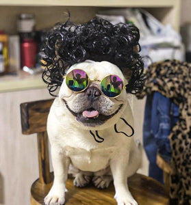 Pet Headdress Pet Wig Sheath