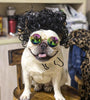 Pet Headdress Pet Wig Sheath