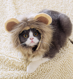 Lion headgear cat hat cute transformation decoration