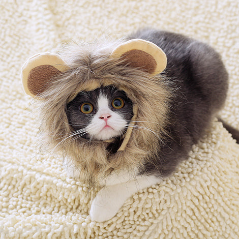 Lion headgear cat hat cute transformation decoration