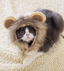 Lion headgear cat hat cute transformation decoration