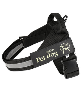 Dog leash and chest harness