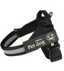 Dog leash and chest harness