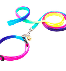 Round rainbow color cat leash dog chain