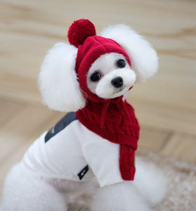 Tide pet clothes dog hat bib suit Teddy Bomei wool scarf autumn winter hat pet scarf