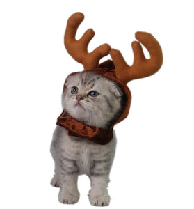 Teddy Dog Cat Antlers