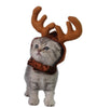 Teddy Dog Cat Antlers