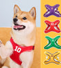Small And Medium-sized Dogs Vest Chest And Back Pet Supplies Chest Strap