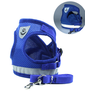 Pet chest strap