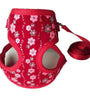 Small dog pet leash