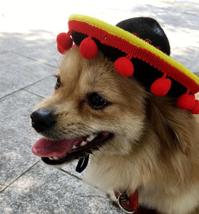 New Sales Pet Supplies Hot Dog Hats