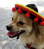 New Sales Pet Supplies Hot Dog Hats