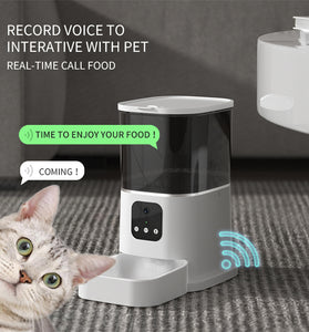 Pet Automatic Feeder Large Capacity Smart Voice Recorder APP Control Timer Feeding Cat Dog Food Dispenser With WiFi Pet Bo