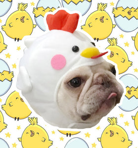 Pet Styling Video Creative Pet Supplies Cute Dog Hat