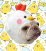 Pet Styling Video Creative Pet Supplies Cute Dog Hat