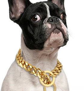 Titanium Steel Metal Hip Hop Pet 15mm Gold Stainless Steel Dog Leash