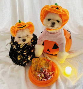 Fashion Halloween Pet Cat Dog Pumpkin Hat