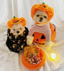 Fashion Halloween Pet Cat Dog Pumpkin Hat