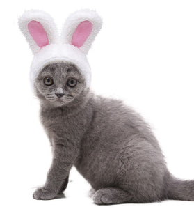 Fashion Warm Rabbit Ears Pet Hat