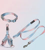 Pet Gradient Color Out Dog Leash Leash Set