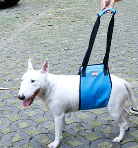Dog Leg Injury Protection Pet Walking Belt