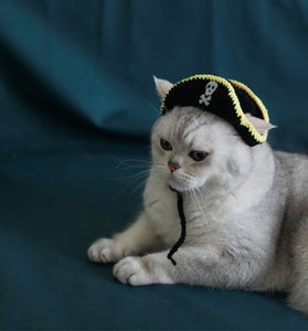 Pirate Hat Leaky Ear Small Handmade Pet Costume