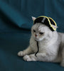Pirate Hat Leaky Ear Small Handmade Pet Costume