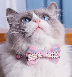 Cute Collar Necklace Pet Decorations