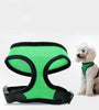 Pet Puppy Small Dog Cat Padded Vest