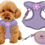 Breathable Mesh Puppy Vest Harness With Quick Release Buckle For Small Medium Large Dogs