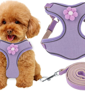 Breathable Mesh Puppy Vest Harness With Quick Release Buckle For Small Medium Large Dogs
