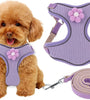 Breathable Mesh Puppy Vest Harness With Quick Release Buckle For Small Medium Large Dogs