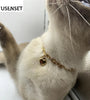 Stainless Steel Pet Cat Dog Love Heart Pendant Necklace