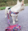 Pet Dog Chest Strap Design Small Outdoor