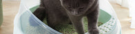 Litter Box