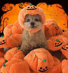Pet Hat Halloween Funny Pumpkin Hat Cute Pet Animal Costume