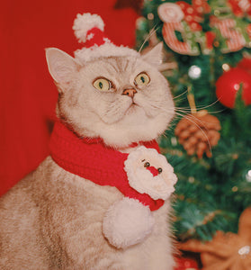 Pet Christmas Hat Hand Woven