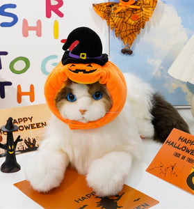 Pet Hat Halloween Funny Pumpkin Hat