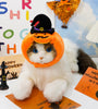 Pet Hat Halloween Funny Pumpkin Hat