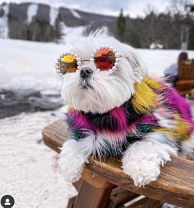 Cat Glasses Pet Dog Pearl Sunglasses